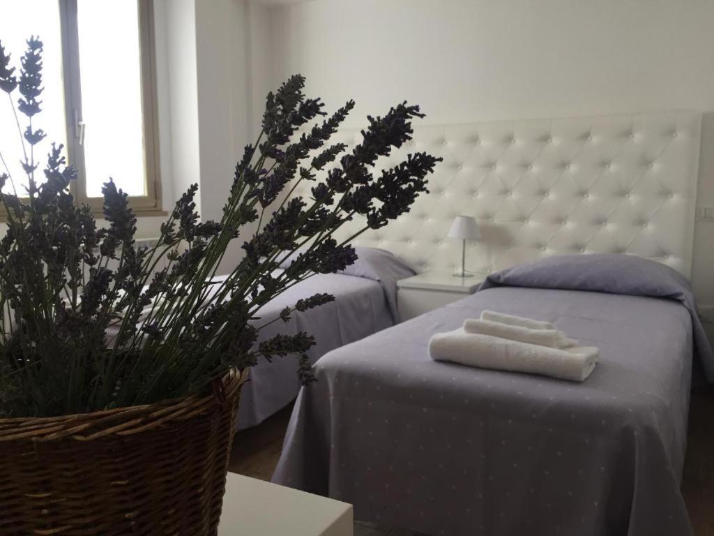Bed and Breakfast Itaka LʼAquila Exterior foto